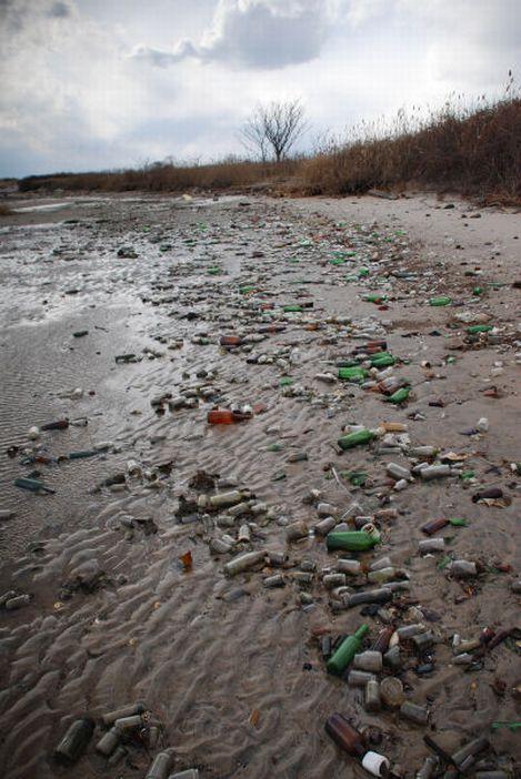  Autors: ORGAZMO Atkritumu pludmale NY