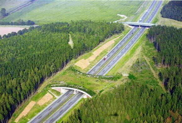 Šis tilts atrodas Vācijā Autors: PRESS Tilti dzīvniekiem