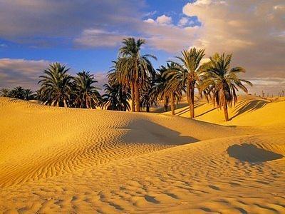 Oāzes kopā aizņem 2 100... Autors: davis112 Fakti par Sahāras tuksnesi.