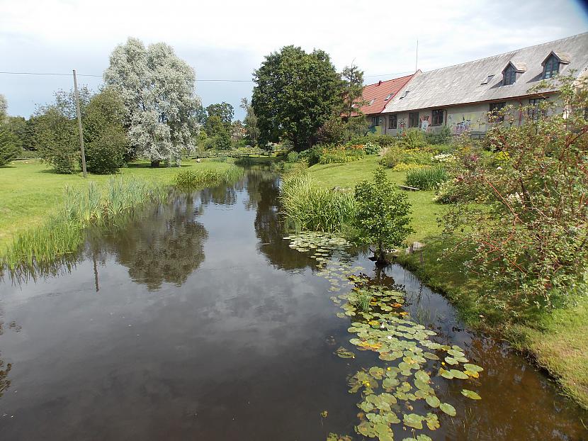  Autors: Cuukis Saldus. Medus Piliens Kurzemē.