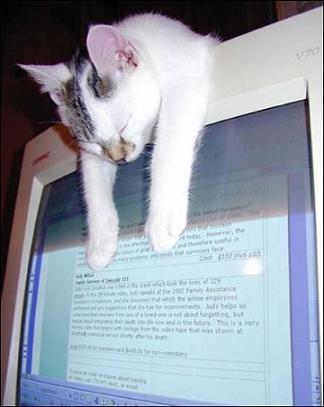  Autors: Ahilejs Mana kaķu nanopaka!