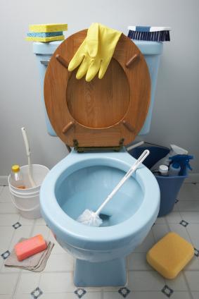  Autors: CDR amerikāņu izvēlētos tualetes beršanu labak nekā paroles izdo