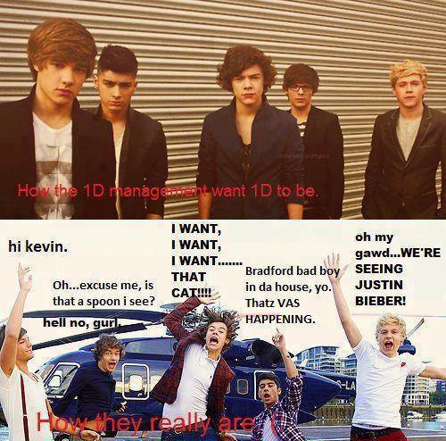 One Direction Funny 5