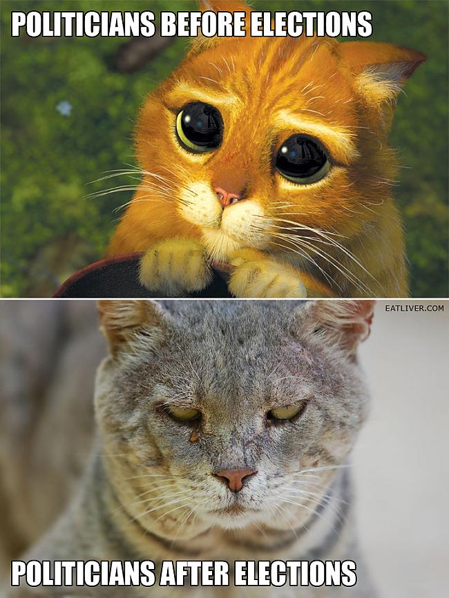 Autors: Colonel Meow Prikolbildes