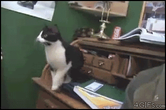 Kad censcaronos panākt kaut ko... Autors: laama Kā es jūtos kad... GIF'os. [6]