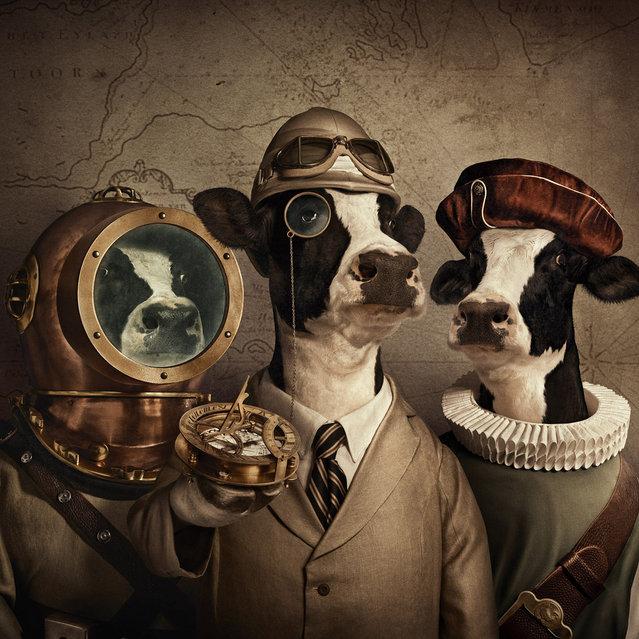 Autors: Ponij Piespied Pogu Dazas bildites 2 ^.^
