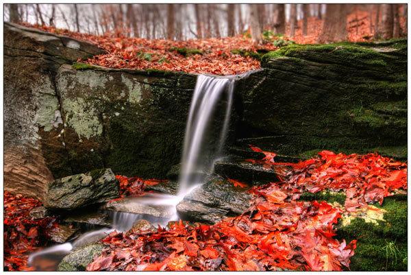  Autors: spoceneic Autumn