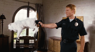 Autors: Colonel Meow GifiGifiGifi