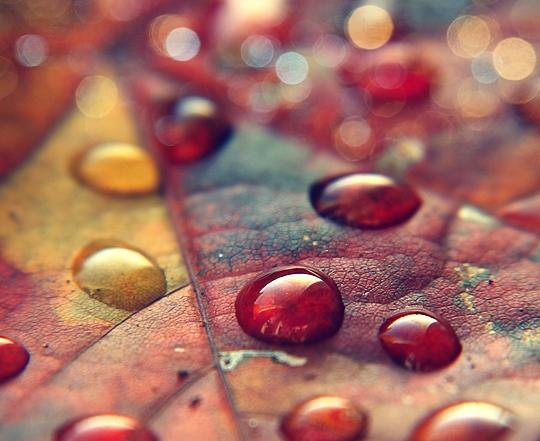  Autors: heartless Autumn.
