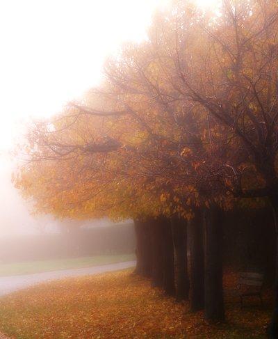  Autors: heartless Autumn.