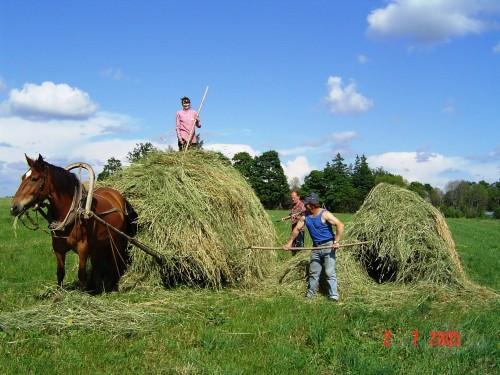 Nekad nepatika to sienu nedz... Autors: nezkasvinsir Bērnības atmiņas