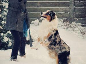 Riva Autors: AnimalLover Par Mani...