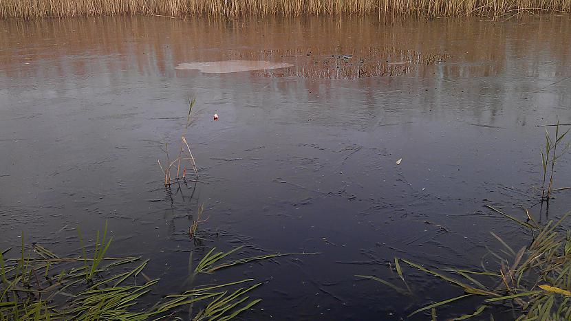 Daži ūdeņi jau ir... Autors: LVDardedze Lielākā sala Latvijā - Daugavgrīva