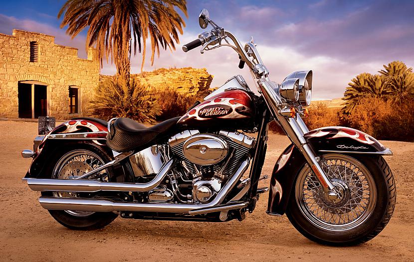 Softail Deluxe Autors: Fosilija Harley - Davidson, 2008