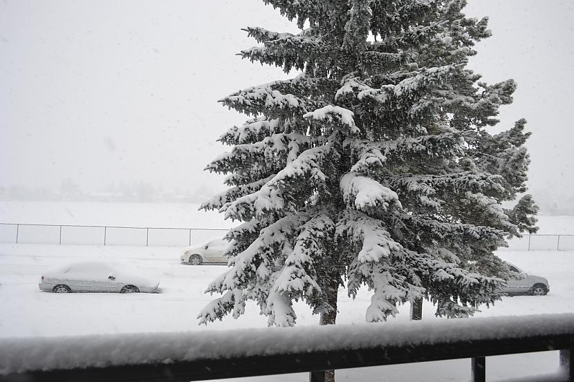  Autors: BuzzZubbPukey Sniega Šausmas Kanādā!!!!!