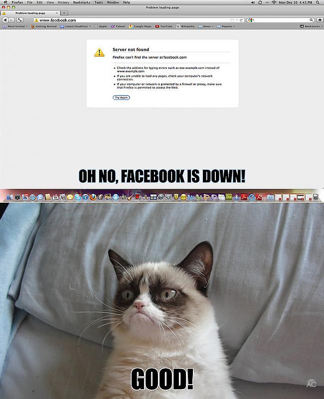  Autors: TheOne Grumpy cat