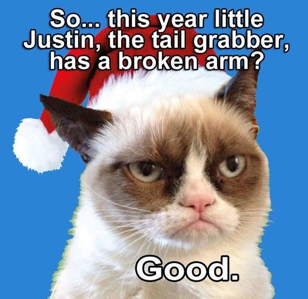  Autors: TheOne Grumpy cat