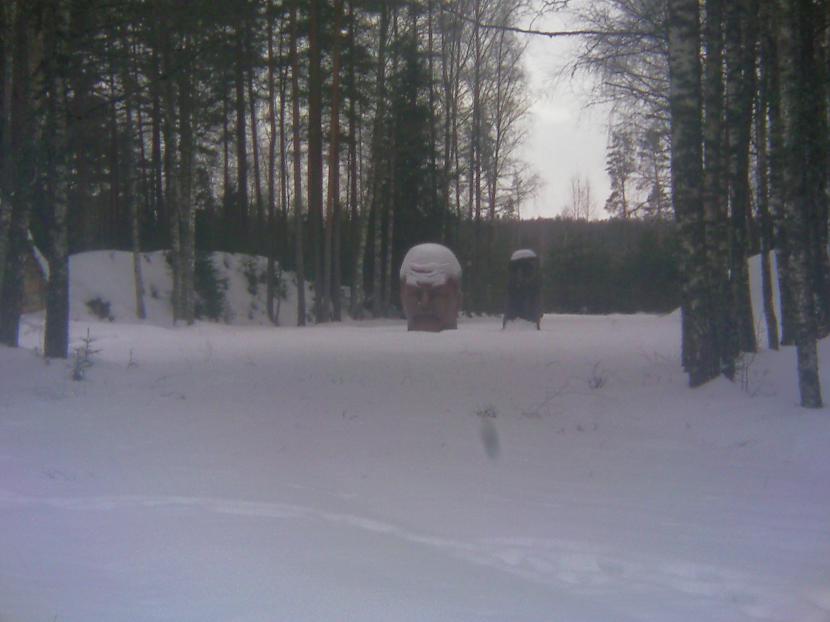 Kurscaron zin kā scarono... Autors: kapuracējs Ziemas skati laukos.