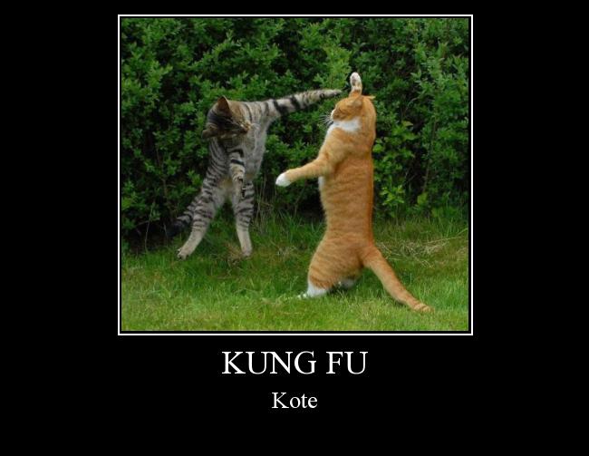  Autors: jayart Kung fu