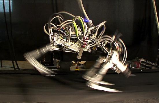 Boston Dynamics ir iestāde kas... Autors: Moonwalker 2012. gada atklājumi zinātnē