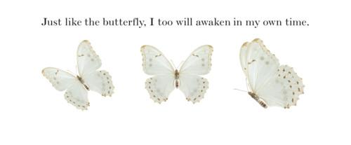  Autors: xdinosuicide Stop Crying Your Heart Out