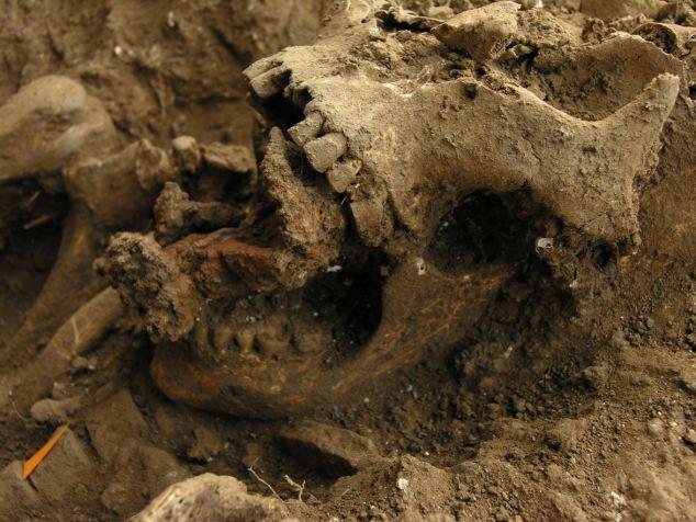 nbspOtrs skelets kuru atradām... Autors: Dusmīgs Bebrs Raganas kaps?
