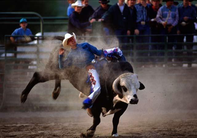 Bull RidingAr rodeo nodarbojas... Autors: varenskrauklis Bīstamākie pasaules sporta veidi.