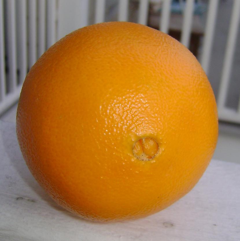 Jo lielāka apelsīnam naba jo... Autors: Ben4iks Fakti par augļiem [5]