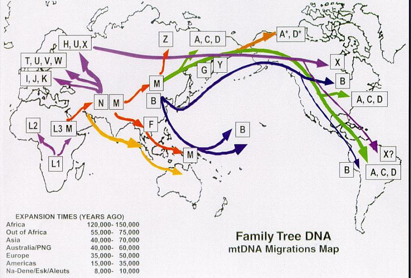 DNS migrācija Ļoti sarežģīta... Autors: Fosilija Kartes, kas izskaidro procesus visā pasaulē