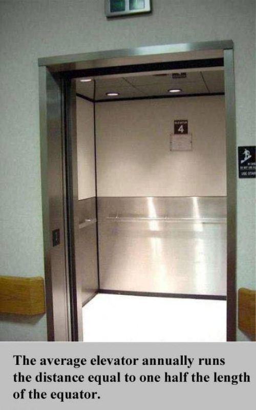 Vidusmēra lifts katru gadu... Autors: 8 Pāris fakti, kas mani šokēja!