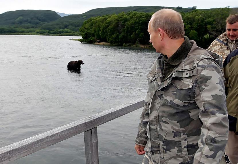 Vladimirs Putins aplūko lāci... Autors: Fosilija Supermens Putins