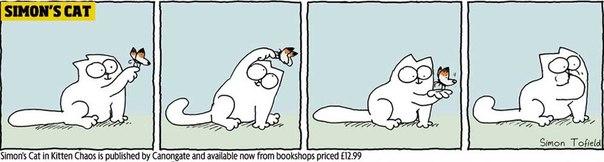  Autors: alieee Simon's Cat