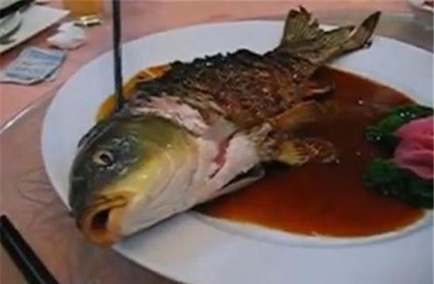 YingYang zivs pazistama arī kā... Autors: Mrhaha Ēdieni, kuri ŠOKĒ!