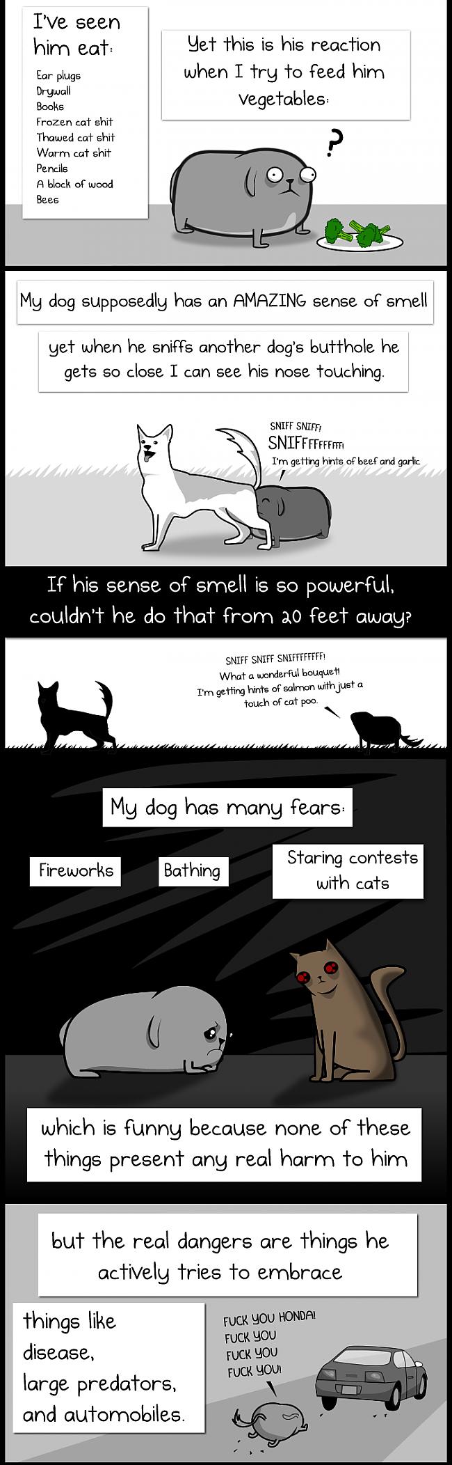  Autors: GOD Dog comic!!!