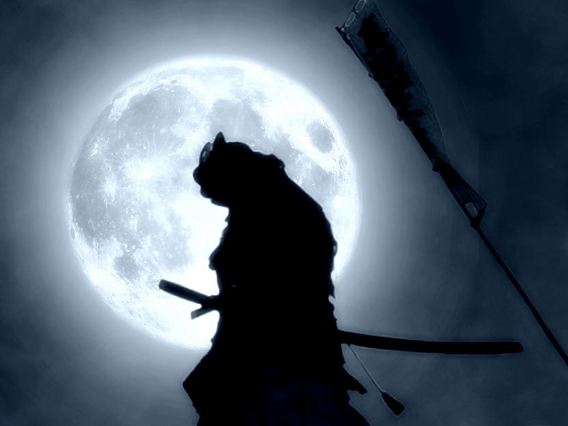 SamurajiSamuraji bija Japānas... Autors: Raacens Vēsturē varenākie cīnītāji