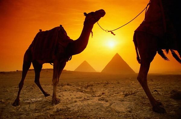ĒģipteKatram tūristam kas... Autors: Massonix Populārākās tūristu krāpšanas shēmas