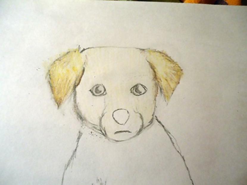 To pascaronu otrā ausī Autors: almazza Kā uzzīmēt un izkrāsot suni