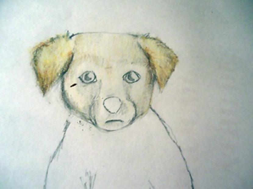 Ēnās iekrāso ar melno Autors: almazza Kā uzzīmēt un izkrāsot suni