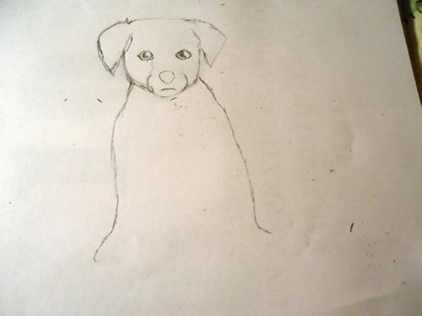  Autors: almazza Kā uzzīmēt un izkrāsot suni
