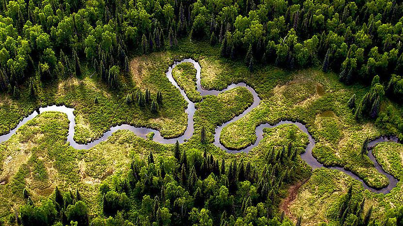 Amazones džungļu... Autors: exkluzīvais Amazone- upju karaliene