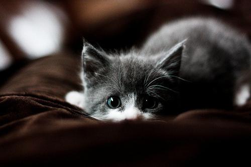  Autors: we heart it Dream it .18