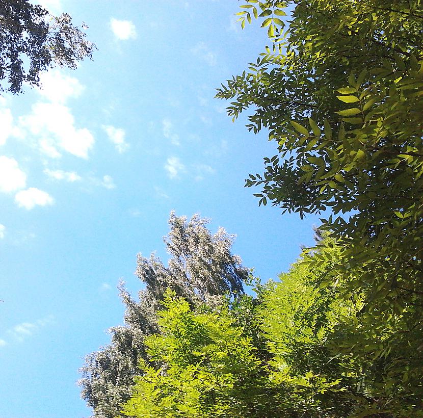 Ak debesisnbsp Autors: The Diāna Jēkabpils. Radži.