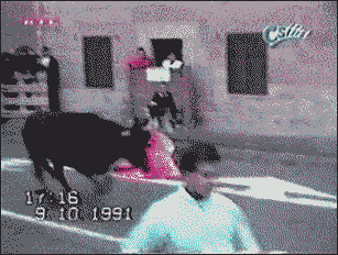  Autors: crazyfly Animal Fail  Gifi