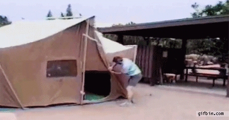  Autors: MIGATRONIC fail gifs