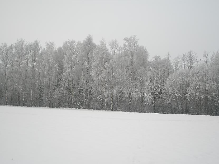 Mana skaistā apkārtne.