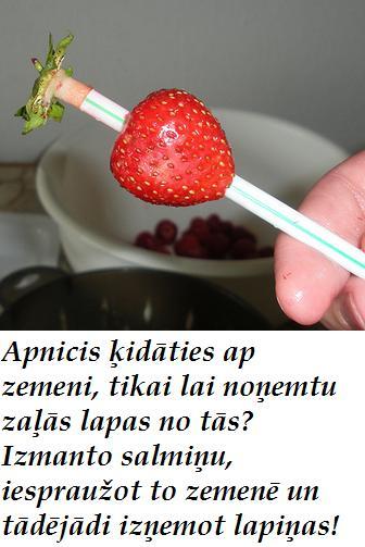 Ērtāks veids kā noņemt zemeņu... Autors: Fosilija Noderīgi dzīves gadījumiem