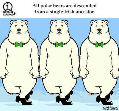 Visiem baltajiem lāčiem ir... Autors: Raziels Fakti un gifi-2
