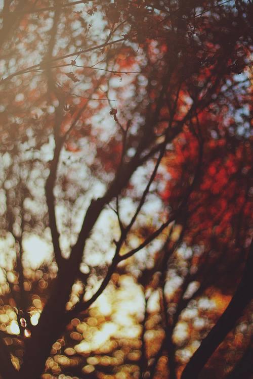  Autors: Jangbi Hello Autumn..)) ∞ ▲ ▼ ∞