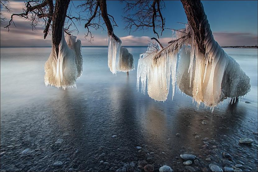  Autors: Pollijs National Geographic 2013 gada labāki foto.