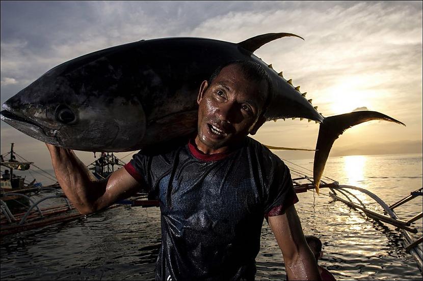  Autors: Pollijs National Geographic 2013 gada labāki foto.